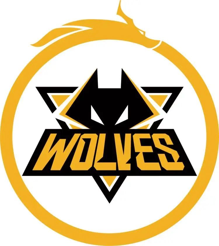 的出场占比 的出场占比